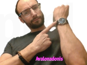 Avalonadonis