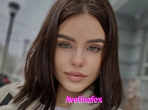 Avelinafox