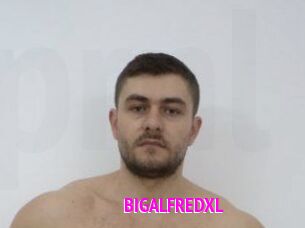 BIGALFREDXL