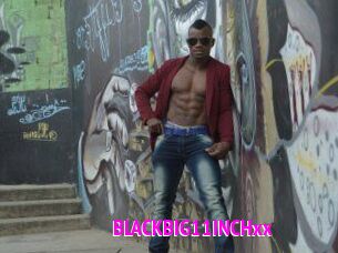 BLACKBIG11INCHxx