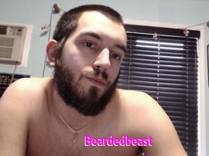 Beardedbeast