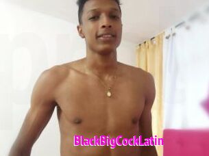 BlackBigCockLatin