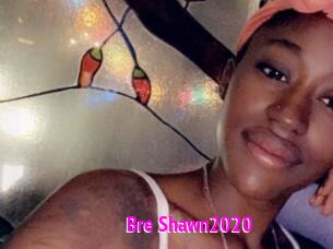 Bre_Shawn2020