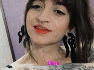 Briza