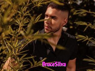 BruceSilva