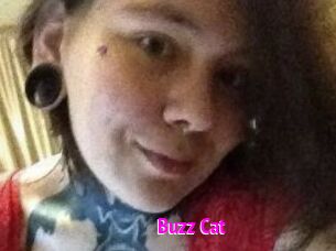 Buzz_Cat