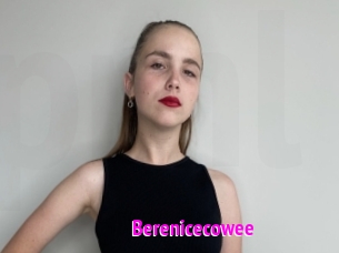 Berenicecowee