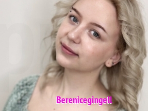 Berenicegingell