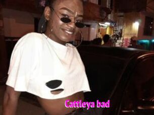 Cattleya_bad