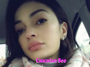 Caucasian_Bee