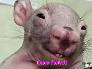 Colon_Plowell