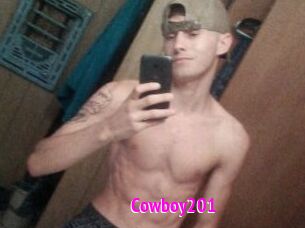 Cowboy201