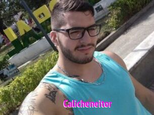 Calicheneitor