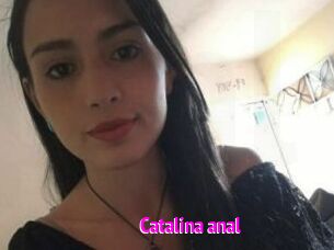 Catalina_anal