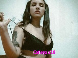 Catleya_x18