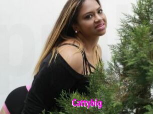 Cattybig