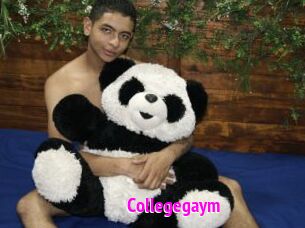 Collegegaym