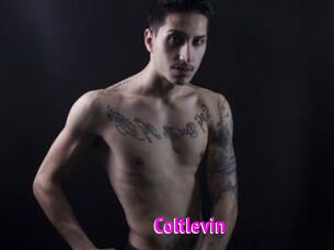 Coltlevin