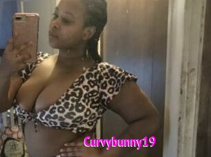 Curvybunny19