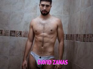 DAVID_ZANAS