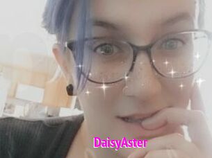 DaisyAster