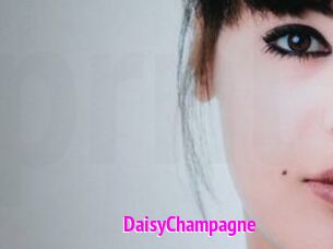 DaisyChampagne