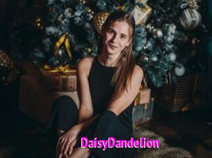 DaisyDandelion