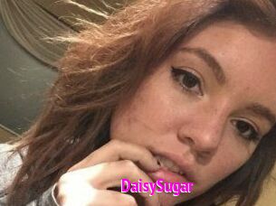 Daisy_Sugar