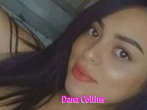 Dana_Collins