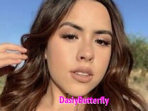 DasiyButterfly