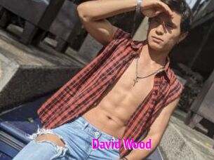 David_Wood