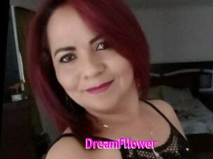 DreamFllower