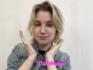 Daisyblumer