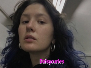 Daisycurles