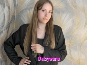 Daisywane