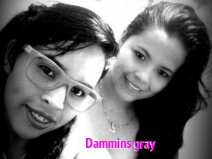 Dammins_gray