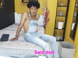 Danii_steel