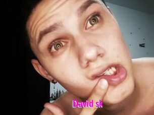 David_sk