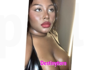 Destinytorn