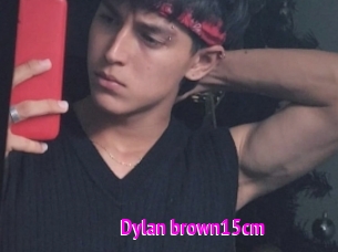 Dylan_brown15cm