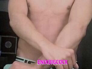 ENIXBIGCOCK