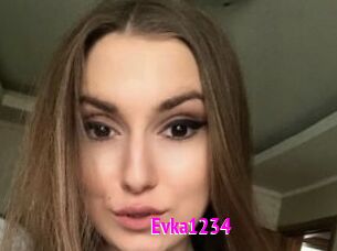 Evka1234