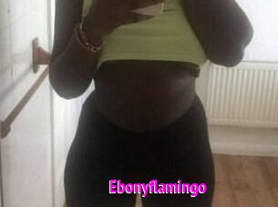 Ebony_flamingo