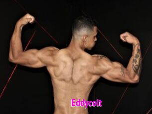 Eddycolt