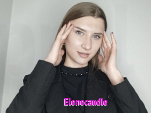 Elenecaudle