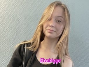 Elvabigge