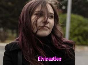 Elvinaatlee