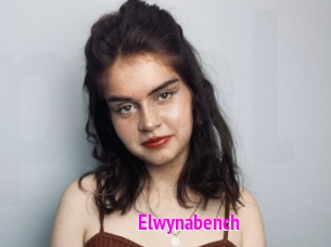 Elwynabench