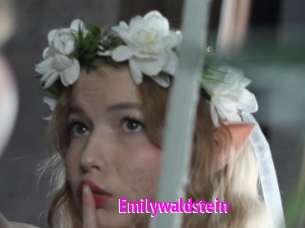 Emilywaldstein