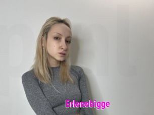 Erlenebigge